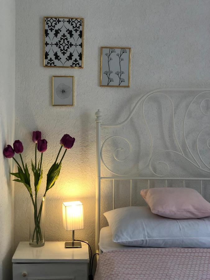 Vila Luka Slano Dış mekan fotoğraf